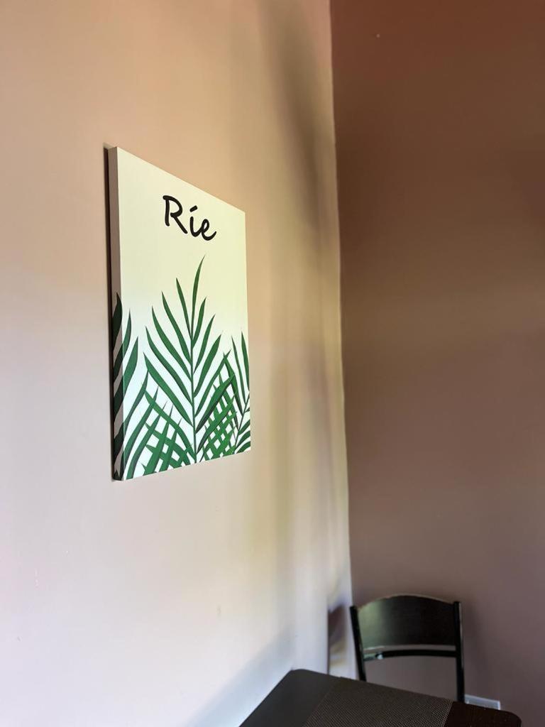 Apartamento La Selva Monoambientes Puerto Iguazú Exterior foto