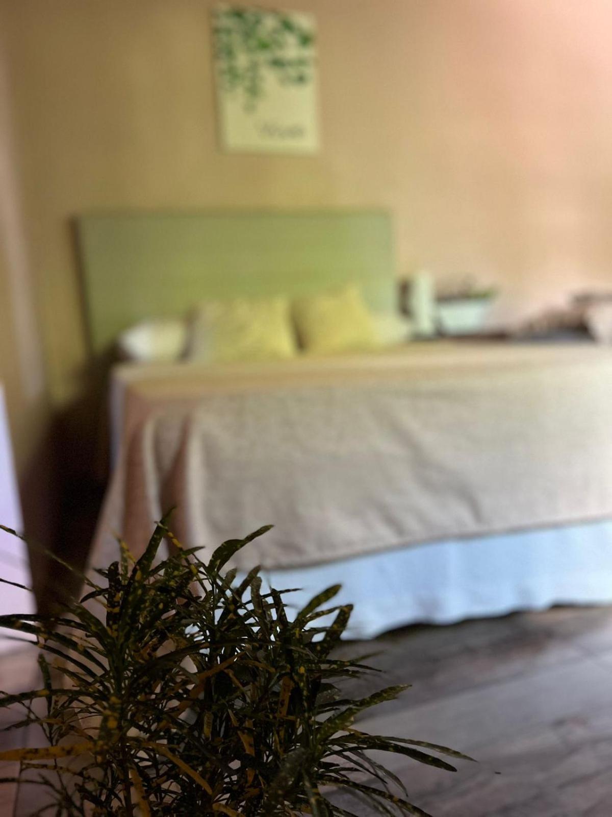 Apartamento La Selva Monoambientes Puerto Iguazú Exterior foto