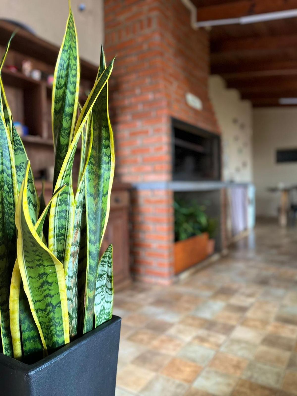 Apartamento La Selva Monoambientes Puerto Iguazú Exterior foto